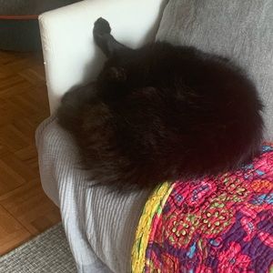 Meet your Posher, Ian